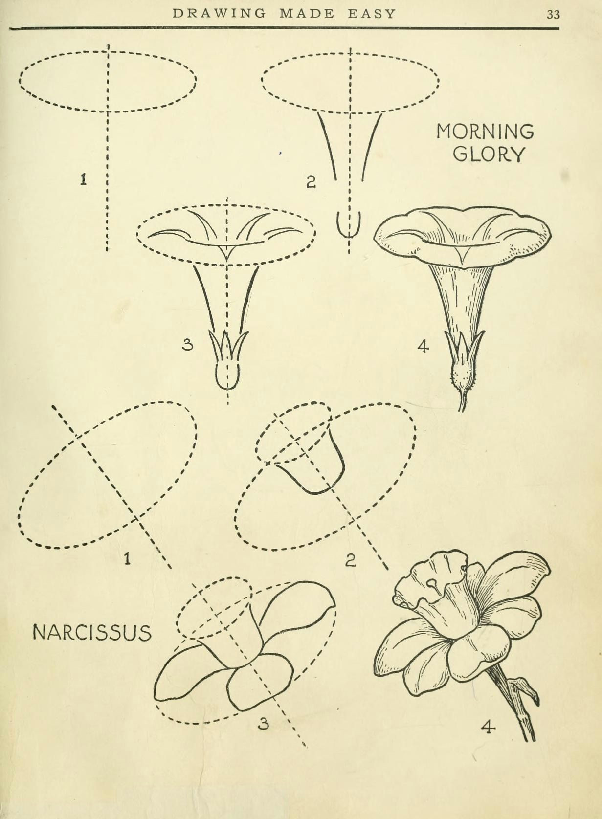 Drawing Flowers Made Easy Pin Od Marta Lal Na Rysunki Drawings Art I Painting