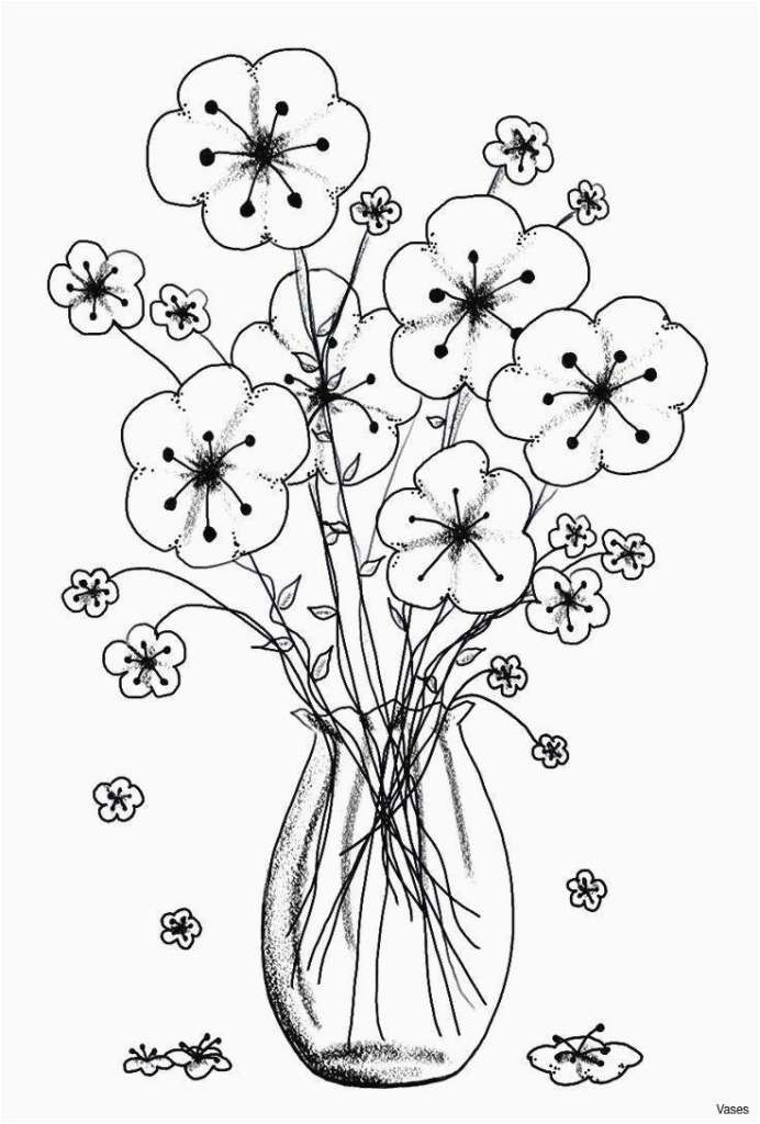 Drawing Flowers Models 27 Best Color Pages Pictures Best Coloring Pages Picture