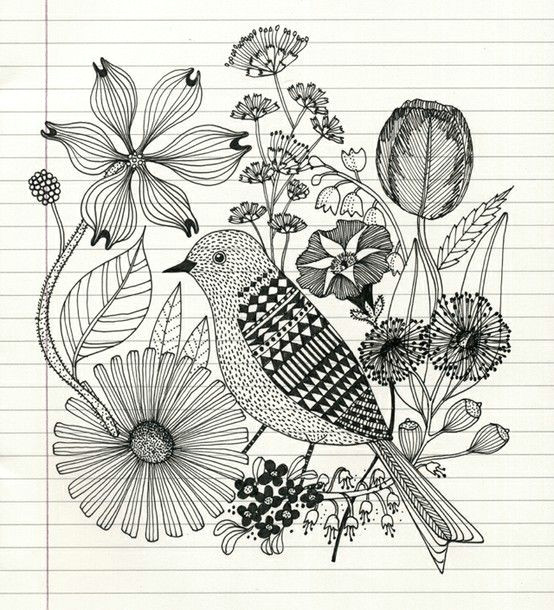 Drawing Flowers On Black Paper Pencil Sketch Of Bird and Flowers Food Drink that I Love