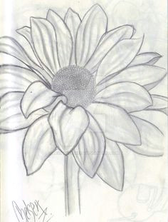 Drawing Flowers On Cards 3278 Best Art Drawing Flowers Images In 2019 Colouring Pencils