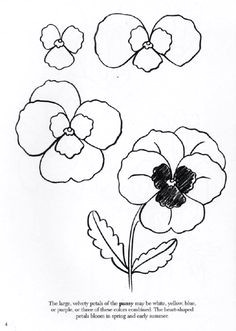 Drawing Flowers On Cards 654 Best Flower Drawings Images In 2019 Drawings Flower Designs