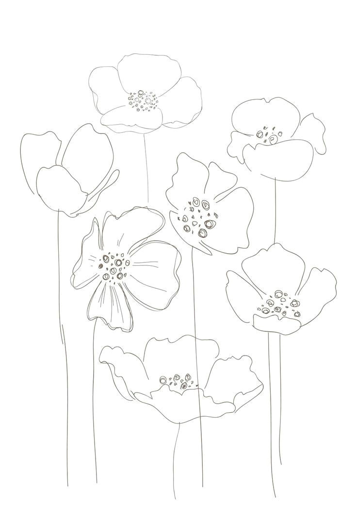 Drawing Flowers On Glass Pin by Misha Miller On Glass Poppies Address Plates Ideas