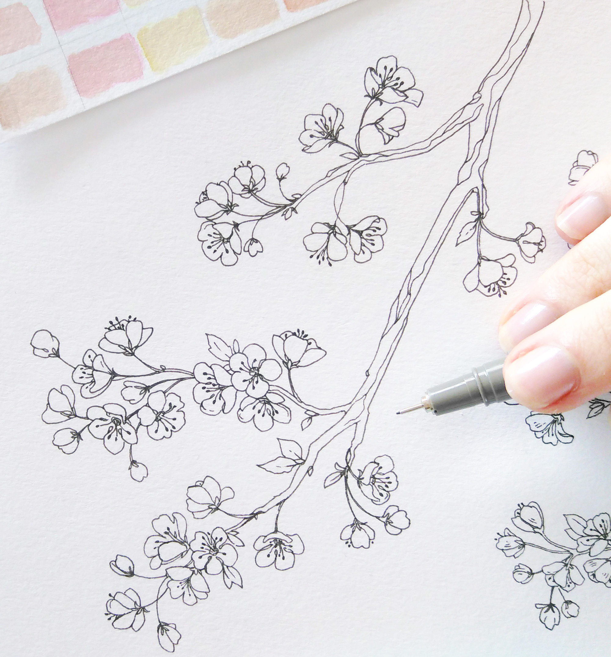 Drawing Flowers On Paper Spring Bullet Journal Layout Cherry Blossoms Art Pinterest