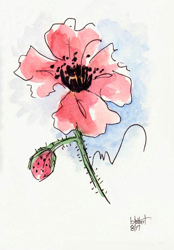 Drawing Flowers Pen and Ink Poppy Flower Water Color Hand Painted original Watercolor Art