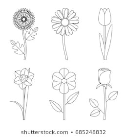 Drawing Flowers Ppt Flower Line Drawing Images Stock Photos Vectors Shutterstock