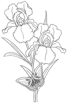 Drawing Flowers Quotes 58 Best Draw Flowers Images Flower Designs Quote Coloring Pages
