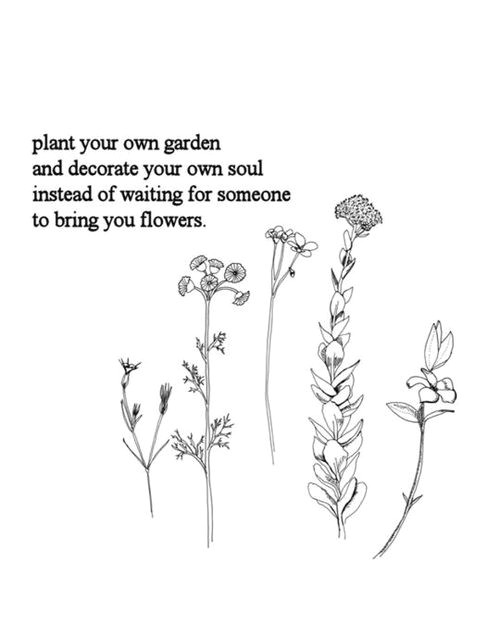 Drawing Flowers Quotes Flowers Quote and Garden Image Deep Quotes Pinterest Quotes