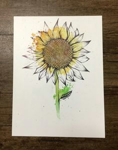 Drawing Flowers Reddit 106 Best Art Images Drawing S Drawings Draw