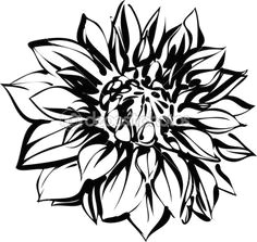 Drawing Flowers Symbolism 56 Best Symbols Images Tatoos Tattoo Floral Botanical Tattoo