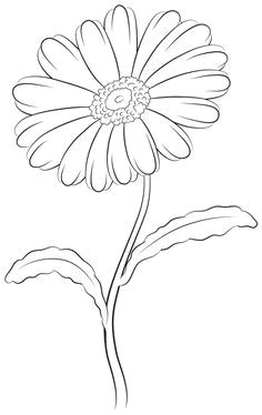 Drawing Flowers Symbolism How to Draw A Tulip Step by Step Drawing Tutorials Draw Flowers