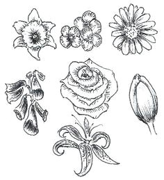 Drawing Flowers Techniques 361 Best Drawing Flowers Images Drawings Drawing Techniques