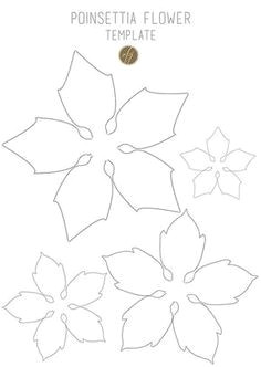 Drawing Flowers Template Diy Paper Poinsettia Free Template Paper Template Pinterest