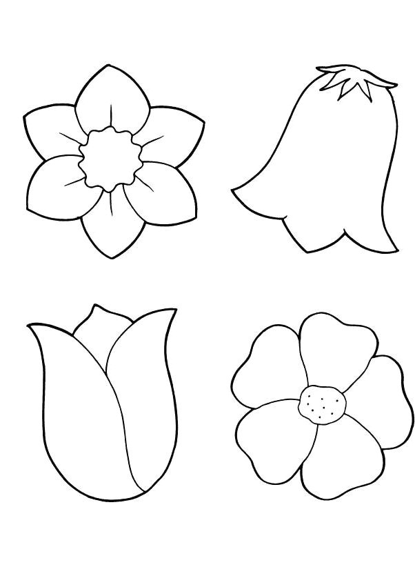 Drawing Flowers Template Spring Flowers Coloring Printout Spring Day Cartoon Coloring Pages