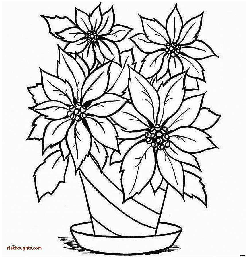 Drawing Flowers Tips 26 ordinary What to Draw for Beginners Helpsite Us