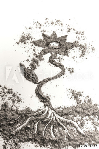 Drawing Flowers Trees Flower Plant Drawing Illustration Concept Made Od ash Dust San