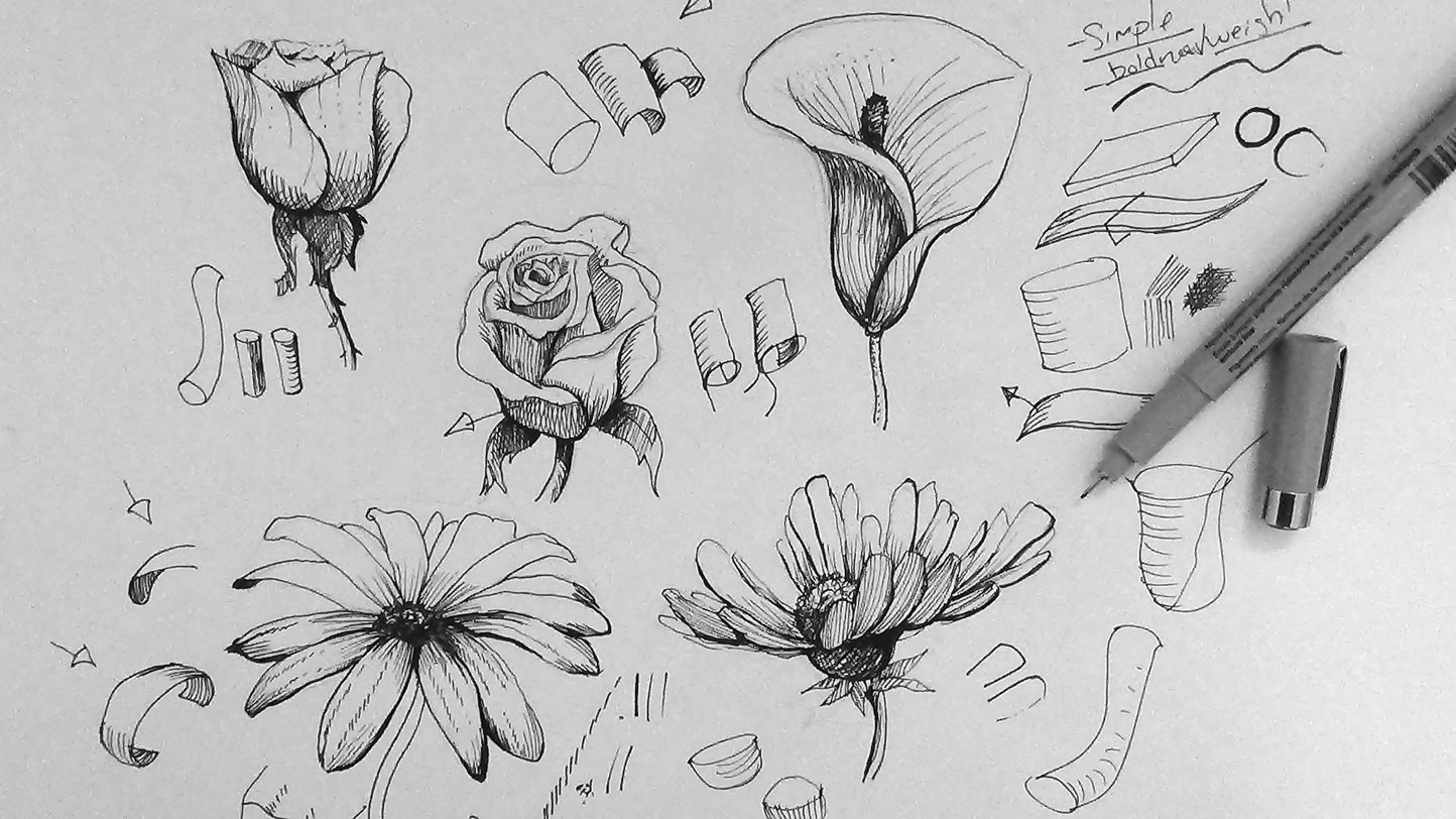 Drawing Flowers Tutorial Youtube How to Draw A Flower Dr Odd