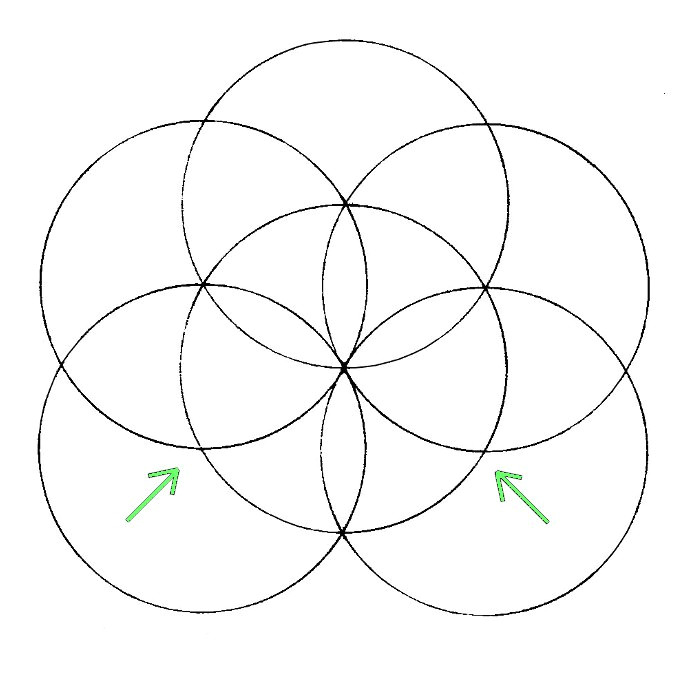 Drawing Flowers Using A Compass Flower Of Life How to Draw It the Chemical Marriage