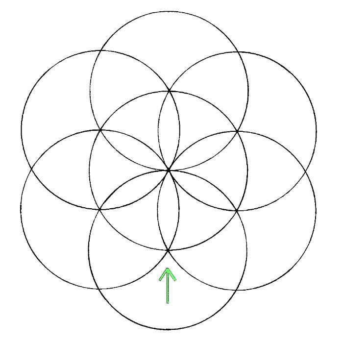 Drawing Flowers Using A Compass Flower Of Life How to Draw It the Chemical Marriage