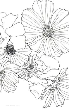 Drawing Flowers Using Geometric Shapes 28 Best Line Drawings Of Flowers Images Flower Designs Drawing