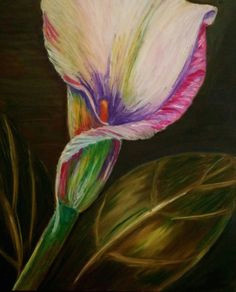 Drawing Flowers Using Pastels 155 Best Oil Pastels Images Oil Pastels Oil Pastel Paintings Oil