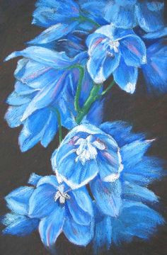 Drawing Flowers Using Pastels 316 Best Oil Pastel Art Images In 2019 Oil Pastel Art Oil Pastels