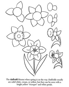 Drawing Flowers while On the Phone 87 Best How to Draw Flowers Plants Images Drawing Flowers