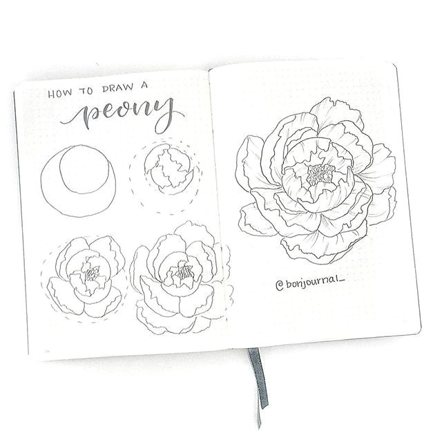 Drawing Flowers while On the Phone D How to Draw A Peonyd I Did A Peony Tutorial A Long Time Ago