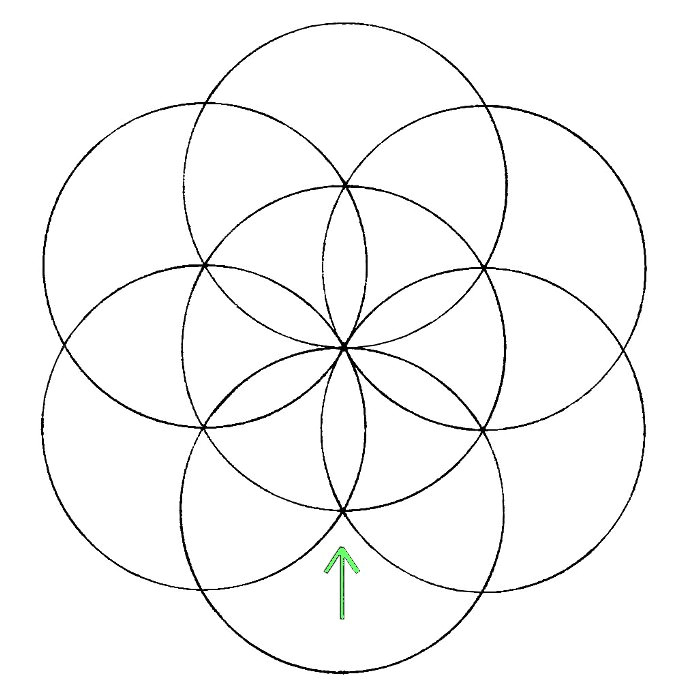 Drawing Flowers with A Compass Flower Of Life How to Draw It the Chemical Marriage