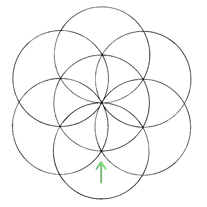 Drawing Flowers with A Compass Flower Of Life How to Draw It the Chemical Marriage