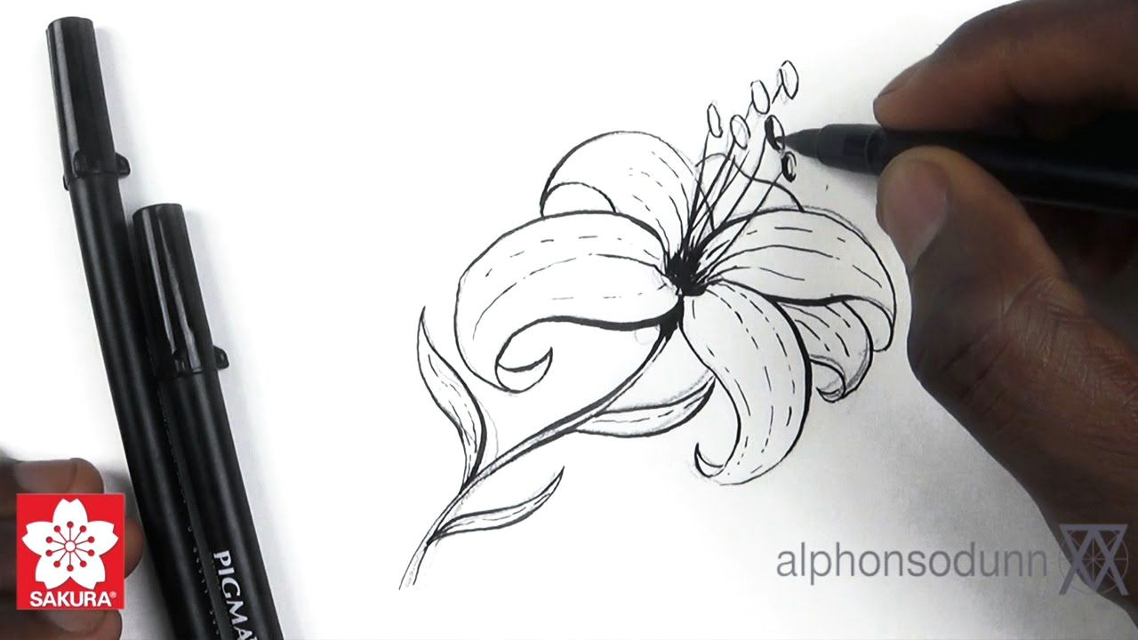 Drawing Flowers with Brush Pen Alphonso Dunn Of How 2 Draw Everything On Youtube Gives A Great