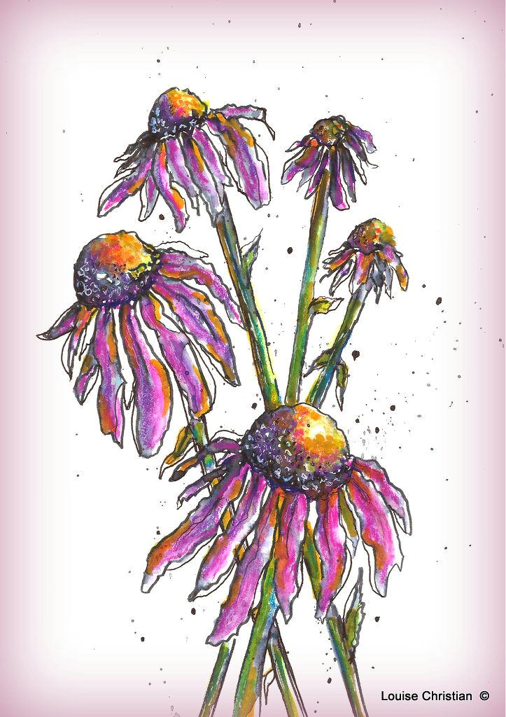 Drawing Flowers with Brush Pen Coneflower Simplicity My Art Using the Elegant Writer Pen