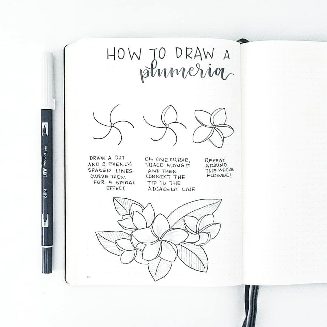 Drawing Flowers with Brush Pen How to Draw A Plumeri Sketches Bullet Journal Journal Flower