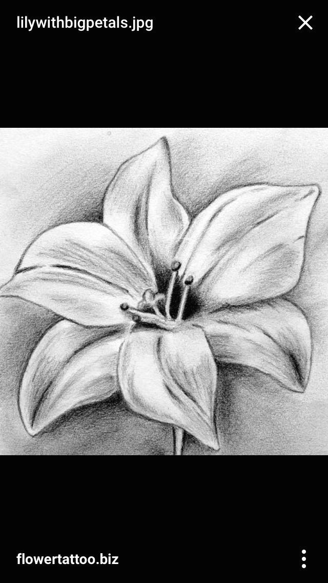 Drawing Flowers with Charcoal Tattoo Tattoo Pinterest Charcoal Drawings Tattoo and Drawings