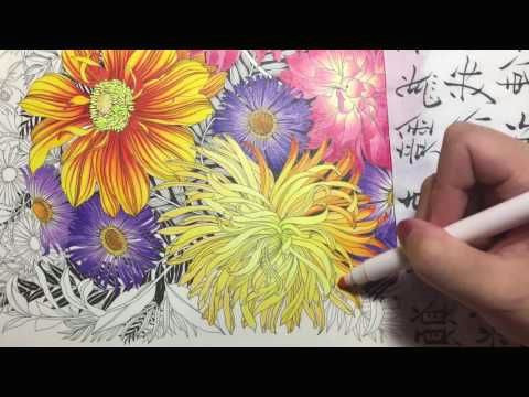Drawing Flowers with Colour Pencils Flower Coloring Tutorial 2 Floribunda Coloring Book Colored