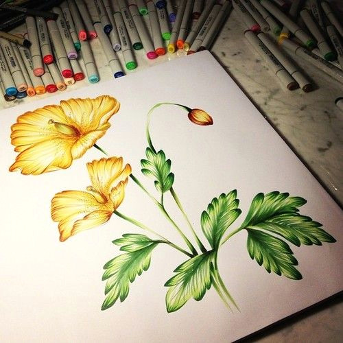 Drawing Flowers with Copic Markers 186 Best Stately Flowers Gina K Images On Pinterest