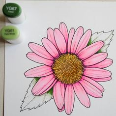 Drawing Flowers with Copic Markers 232 Best Copic Tutorials Images Colouring Techniques Coloring
