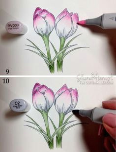 Drawing Flowers with Copic Markers 599 Best Coloring Copics Images In 2019 Copic Markers Tutorial