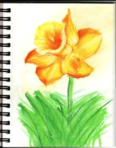 Drawing Flowers with Oil Pastels 253 Best Oil Pastels Images Oil Pastels Flower Artwork