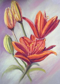 Drawing Flowers with soft Pastels 68 Best Pastels Lessons Images Pastel Pencils Art Oil Pastels