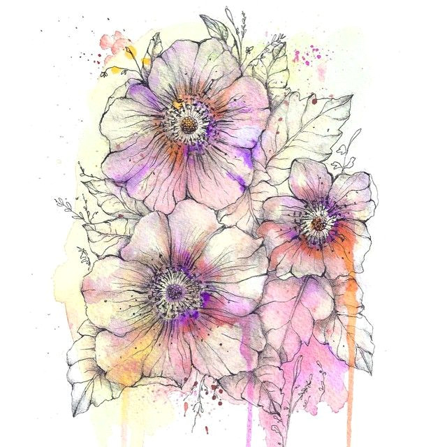 Drawing Flowers with Watercolor Pencils Iconosquare Instagram Webviewer Flowers Pinterest Watercolor