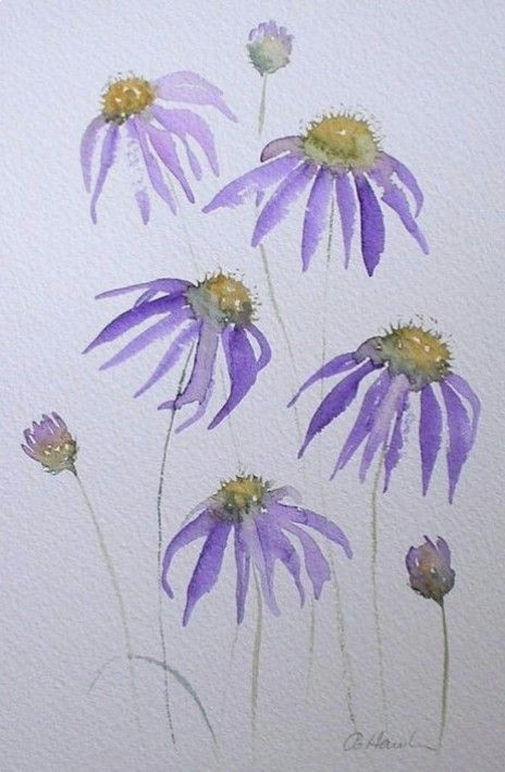 Drawing Flowers with Watercolor Pencils Pin by Carol Cahill On Watercolor Artwork Acuarela Pintura