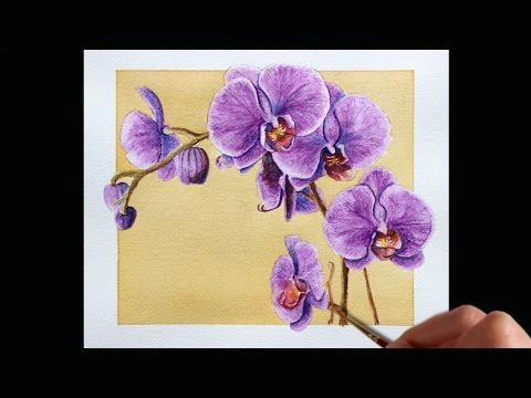 Drawing Flowers with Watercolour Pencils 180 Best Watercolor Pencils and Techniques Images On Pinterest