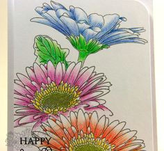 Drawing Flowers with Watercolour Pencils 27 Best Water Color Images Watercolor Paintings Visual Arts