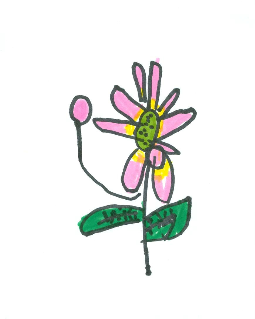 Drawing Flowers Year 1 Art for Small Hands Drawing Flowers
