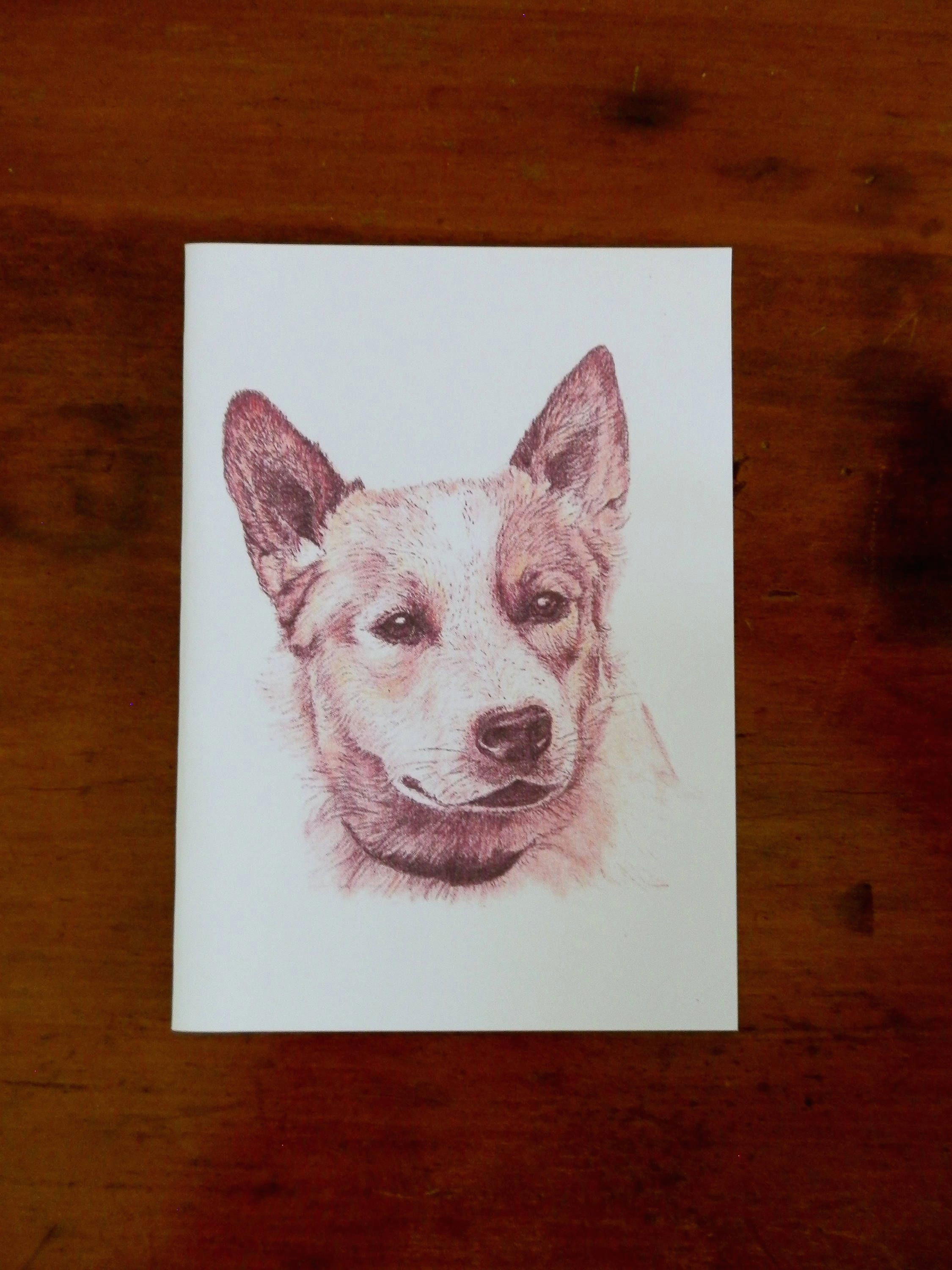 Drawing for Dog Lovers Cattle Dog Red Australian Card Greeting Blank Drawing Illustration