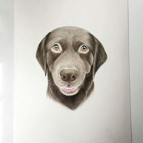 Drawing for Dog Lovers Dog Portrait Custom Dog Owner Gifts Dog Lovers Paint My Dog