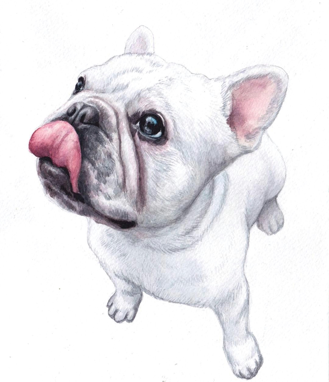Drawing for Dog Lovers Lisa Creative Lab Watercolor Custom Pet Portrait Dog Portrait