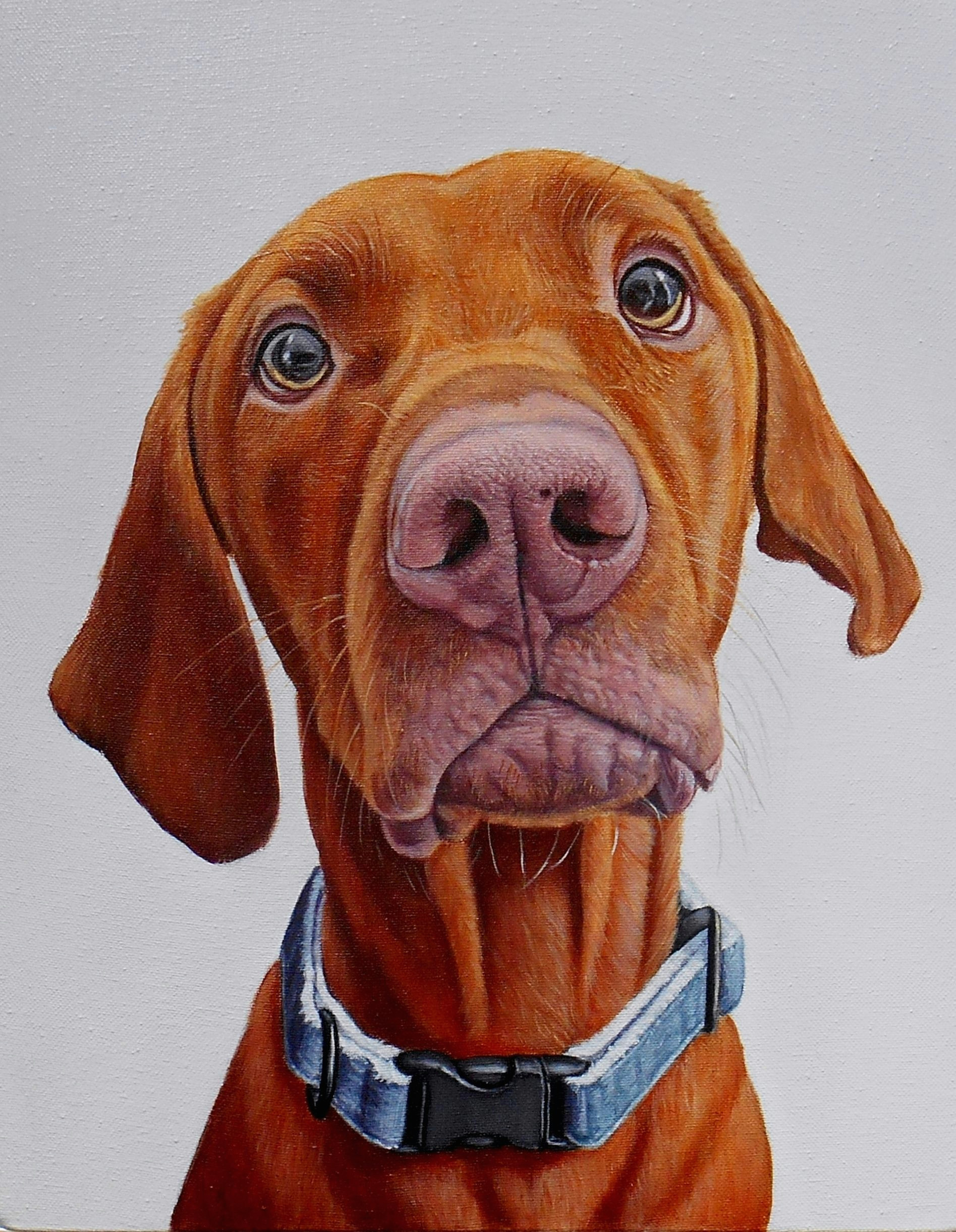 Drawing Funny Dogs D D N N D N D D D D N N N Lightshot Finley J Barker Dog Shop Dog Paintings