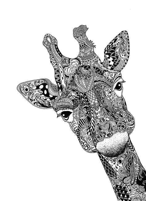 Drawing Giraffe Eyes Giraffe Drawing Art Art Drawings Zentangle