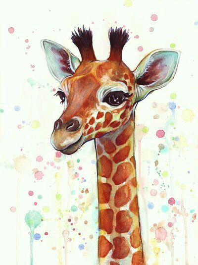 Drawing Giraffe Eyes Pin Od Poua A Vatea A andrea Seifertova Na Nastenke Painting